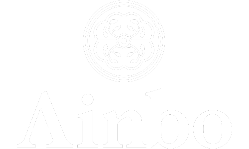 Ainbo